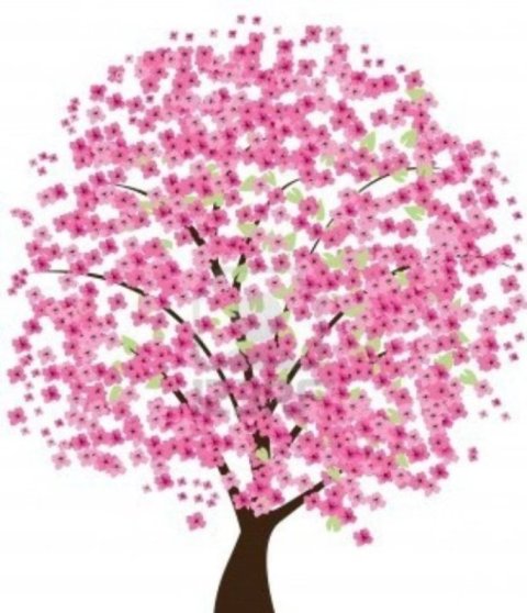 Cherry Tree Treats
